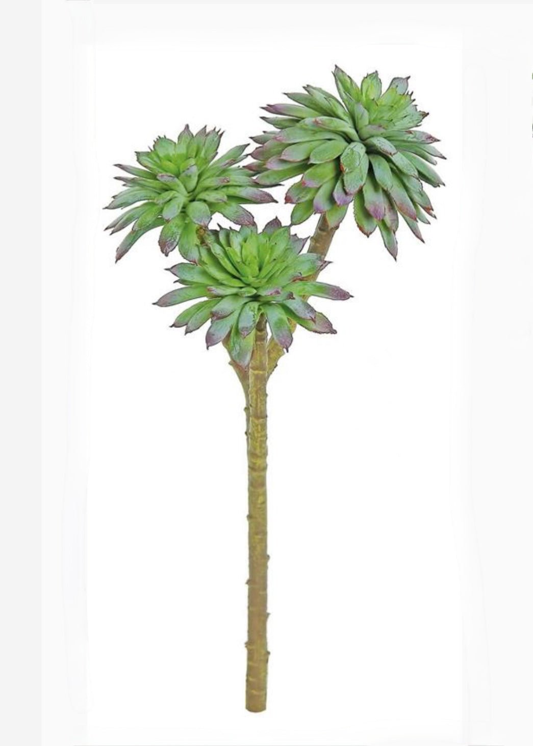 succulent daisy plant Artificial Daisy Succulent Pick