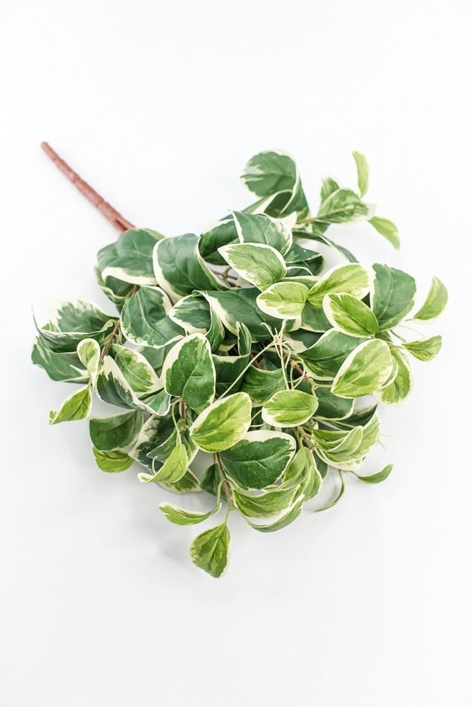 euonymus indoor plant Artificial Euonymus Bush
