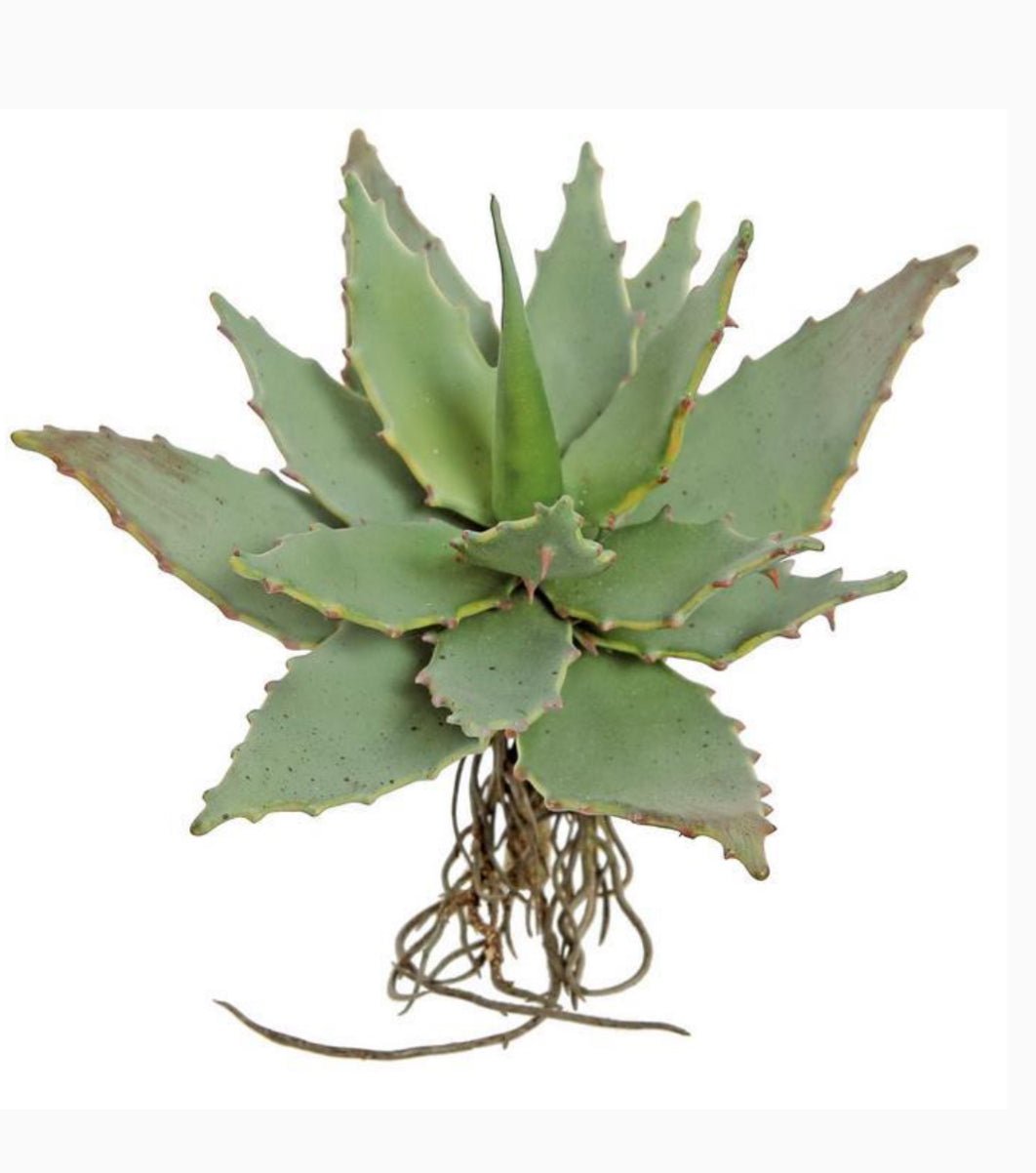 succulent plant with spiny leaves Artificial spiny leaf succulent pick
