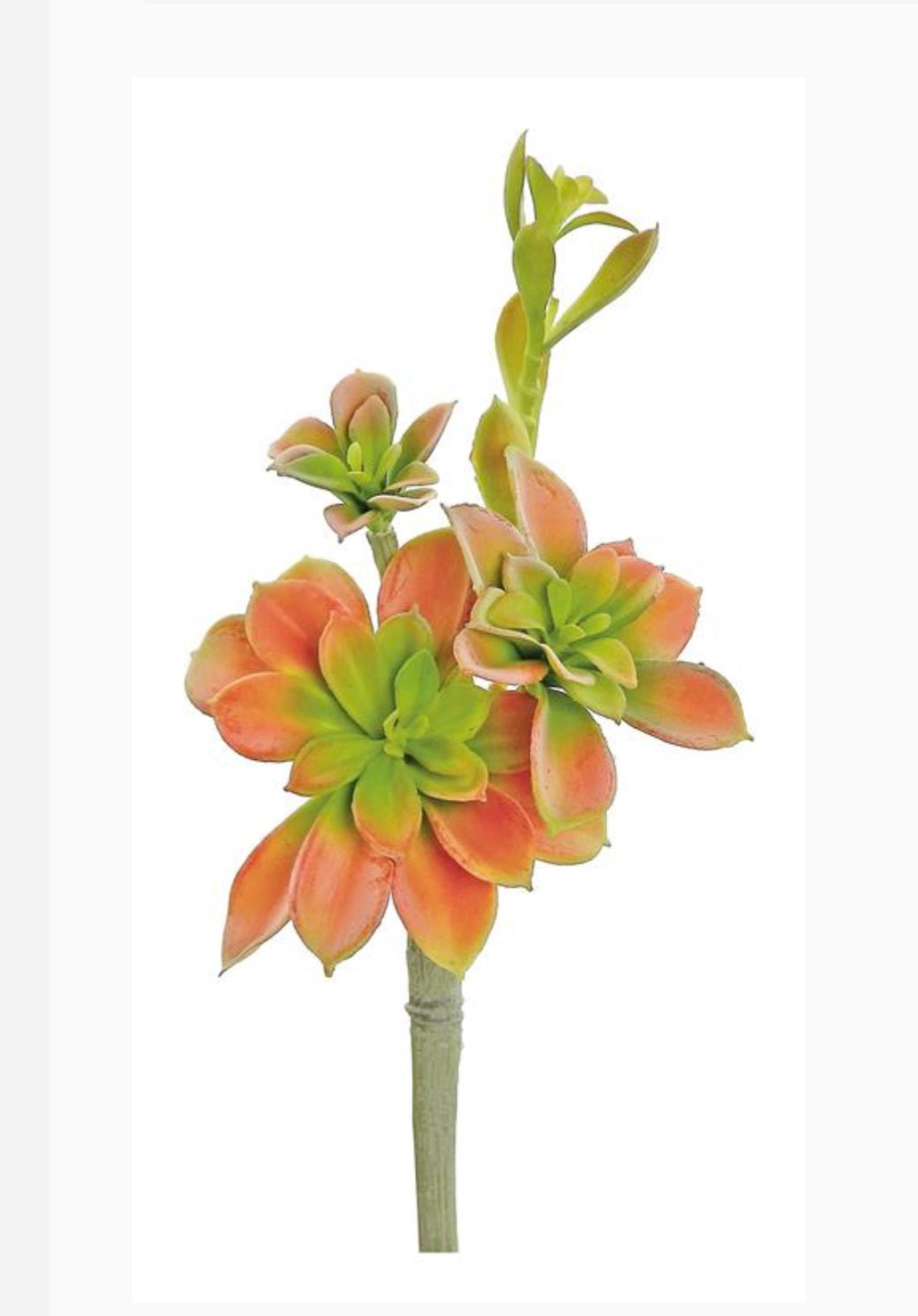 succulent sprouting flowers Artificial Sprouting Succulent Pick