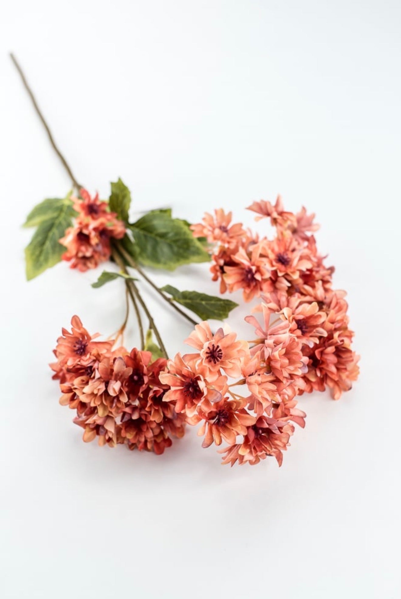 Chrysanthemum Flower spray - salmon - Greenery Market