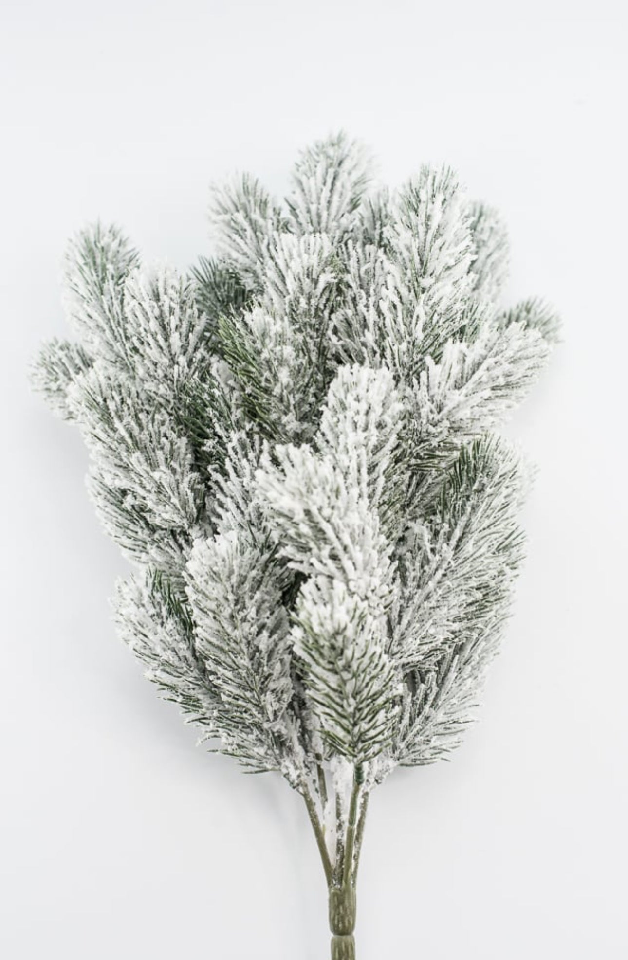 Flocked pine bush - Greenery Market