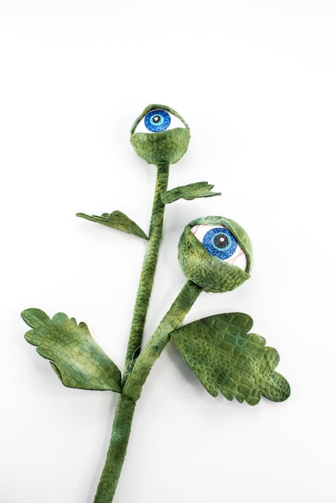 eyeball succulent 24" Carnivorous Plant Eyeball Spray