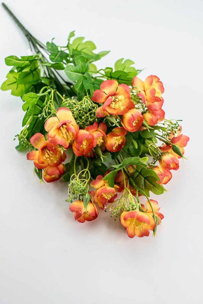 Indian Hawthorn Bush - Orange - Greenery Market