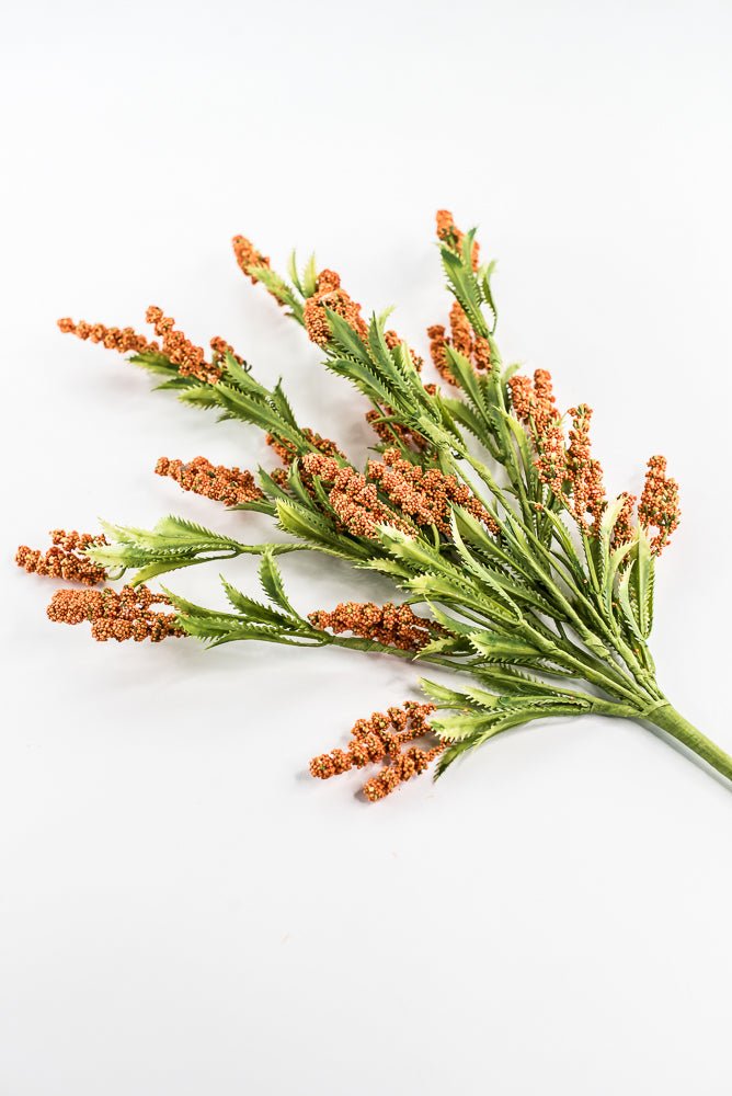 Orange Lavender Bush - 21
