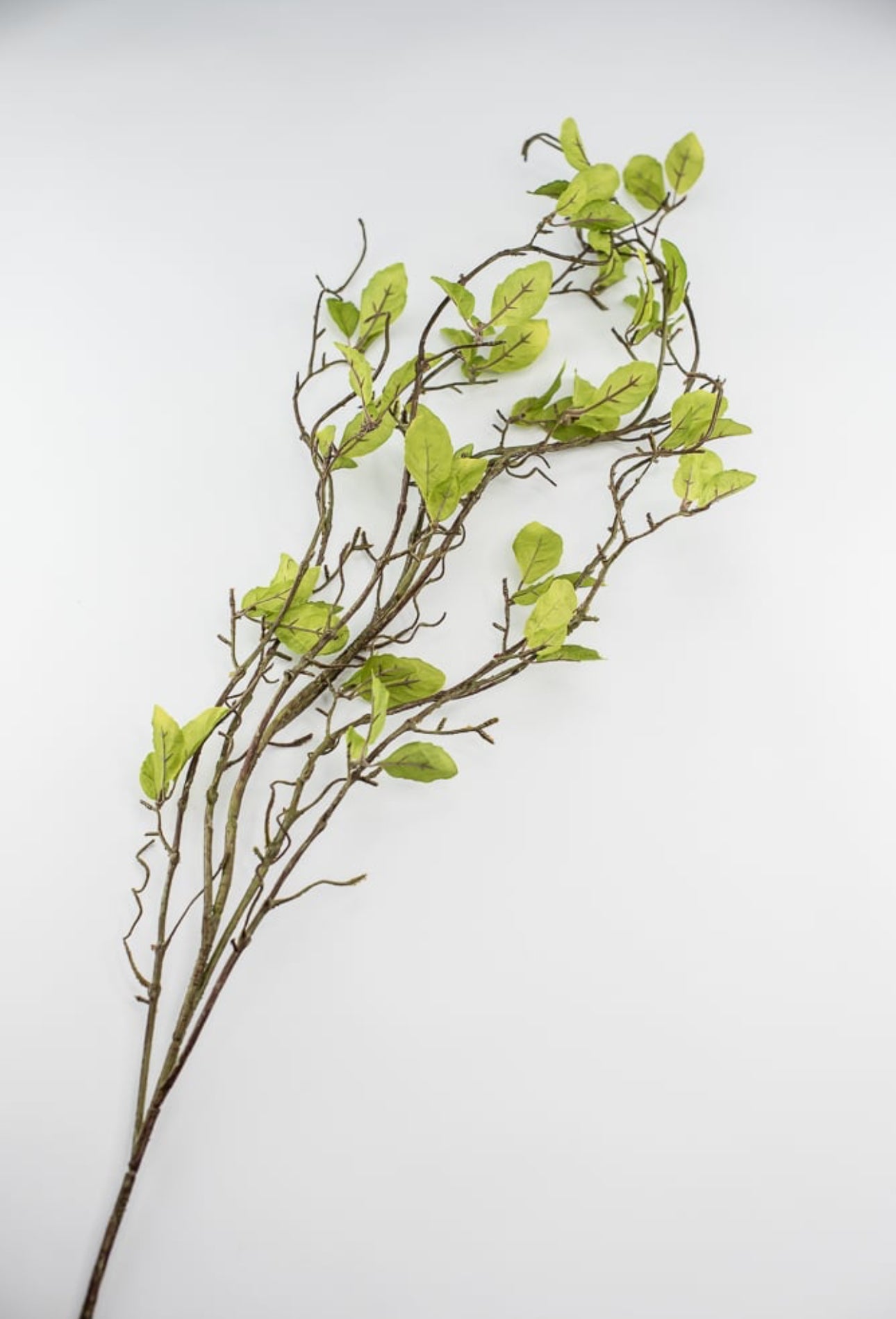 Willow branch - twigs with leaves spray - Greenery MarketgreeneryS1336-g