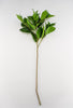 Artificial, lemon leaf, spray - Greenery MarketMTF23373