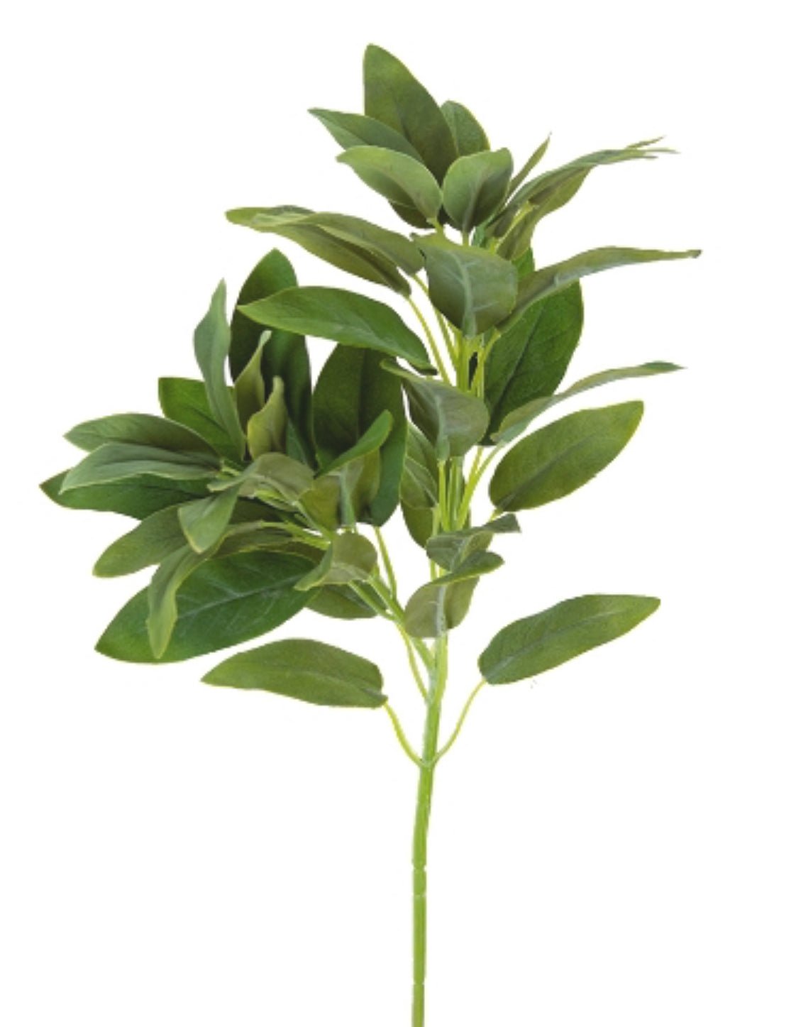 Artificial salvia leaf spray - Greenery Market2310361GR