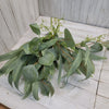 Artificial Willow eucalyptus bush - Greenery MarketArtificial Flora62820