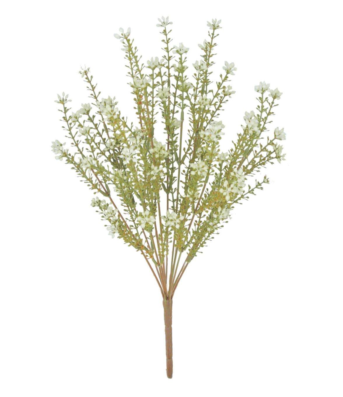 Eucalyptus seed bush - beige - Greenery Marketgreenery81128-BE