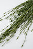Hanging grasses bush, Greenery - Greenery Marketspring summer greenery26005