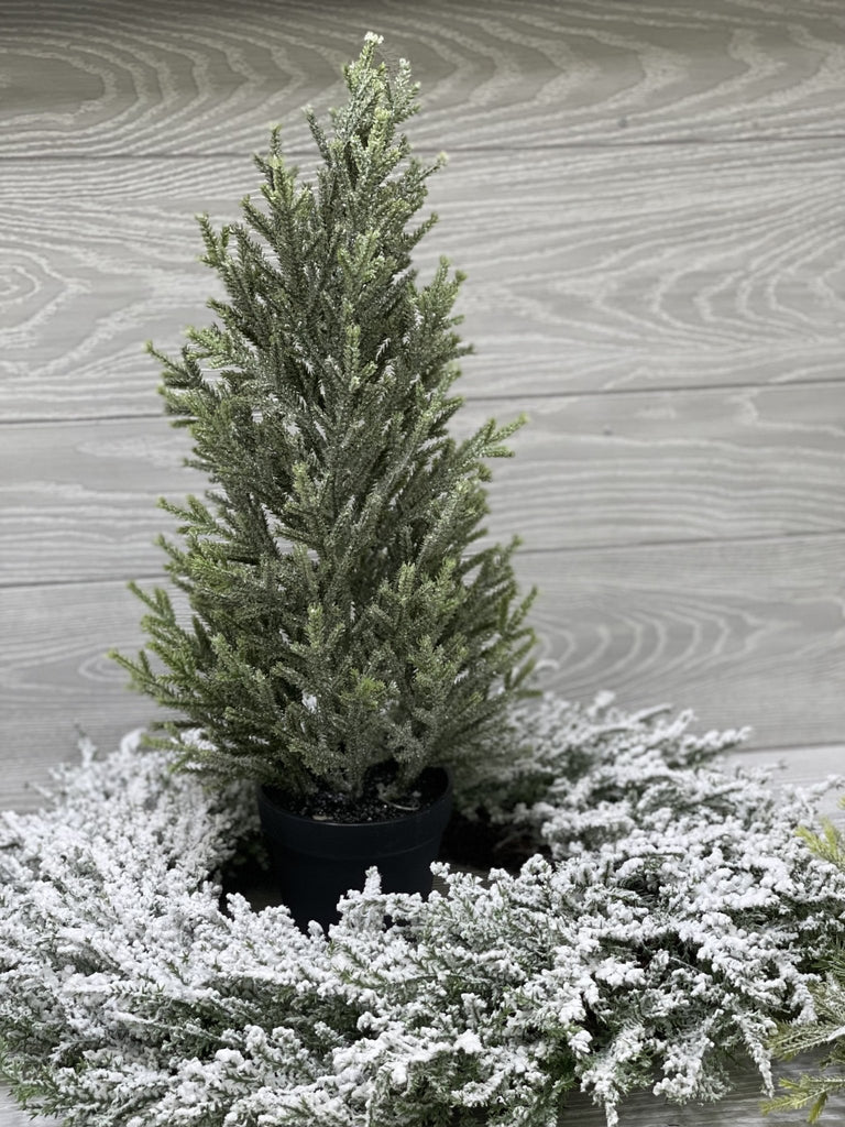 Mini potted Christmas tree with ice 20” Greenery Market