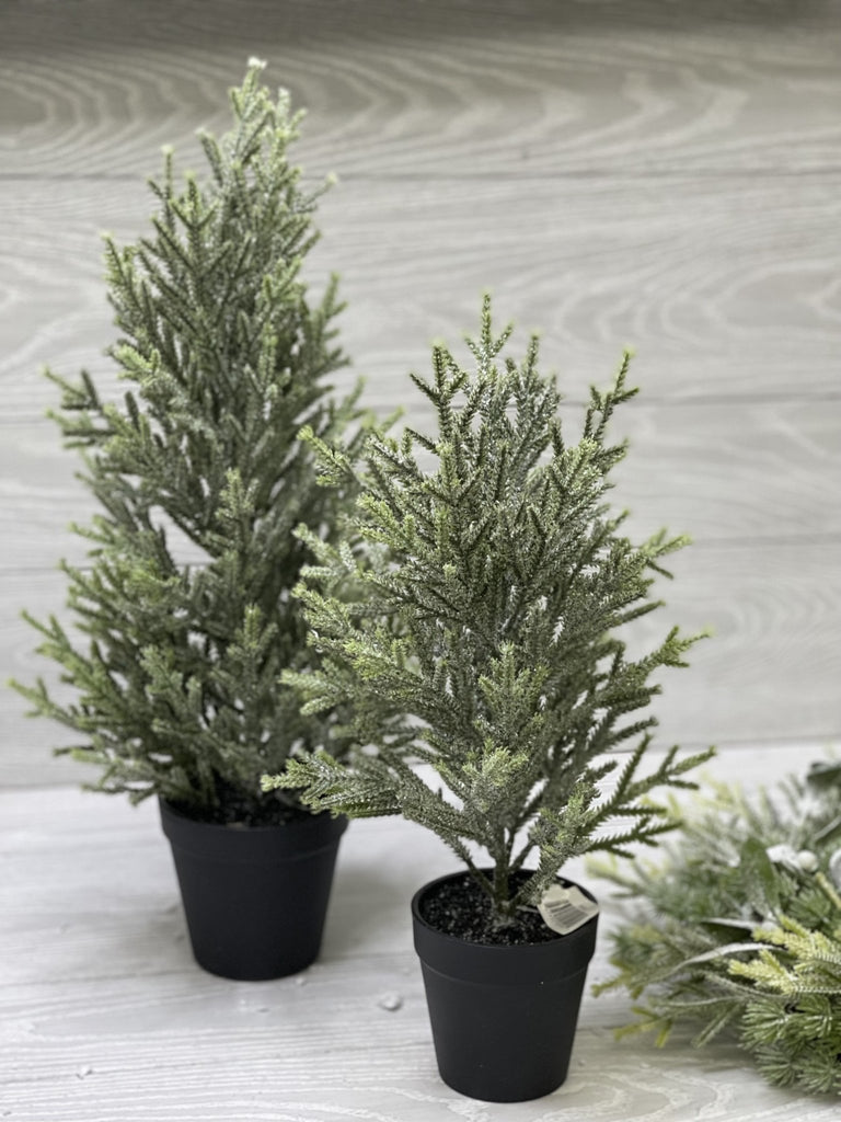 Mini potted Christmas tree with ice 20” Greenery Market