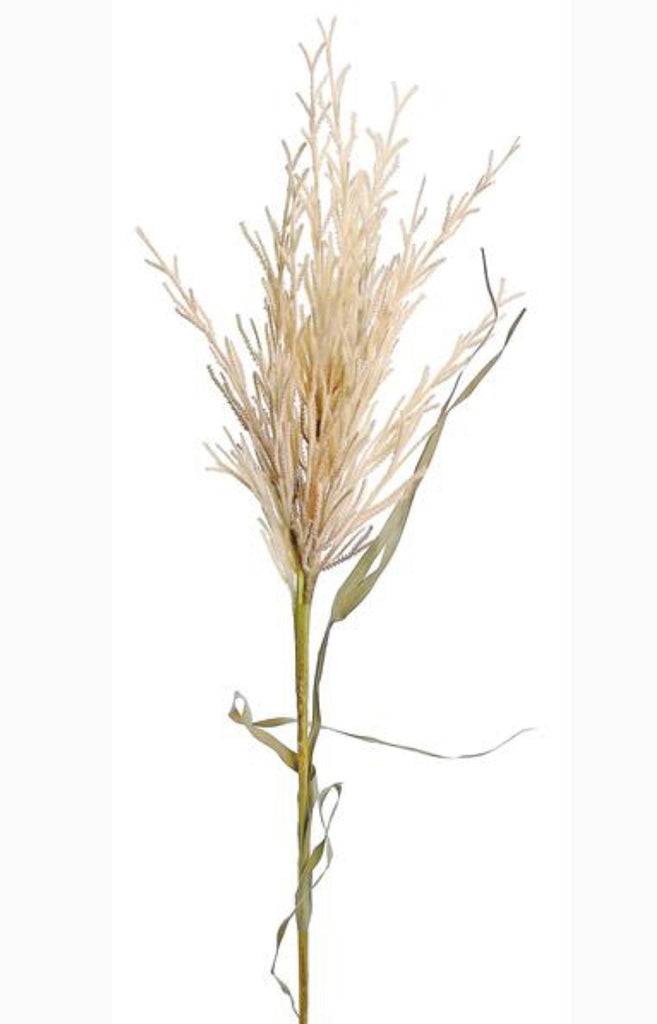 Mop grass fluffy grass spray cream Greenery Market