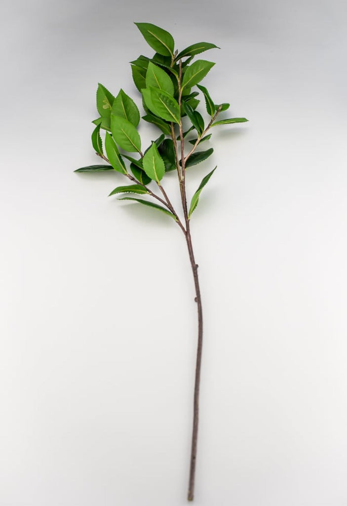 Tea leaf greenery spray Greenery Market