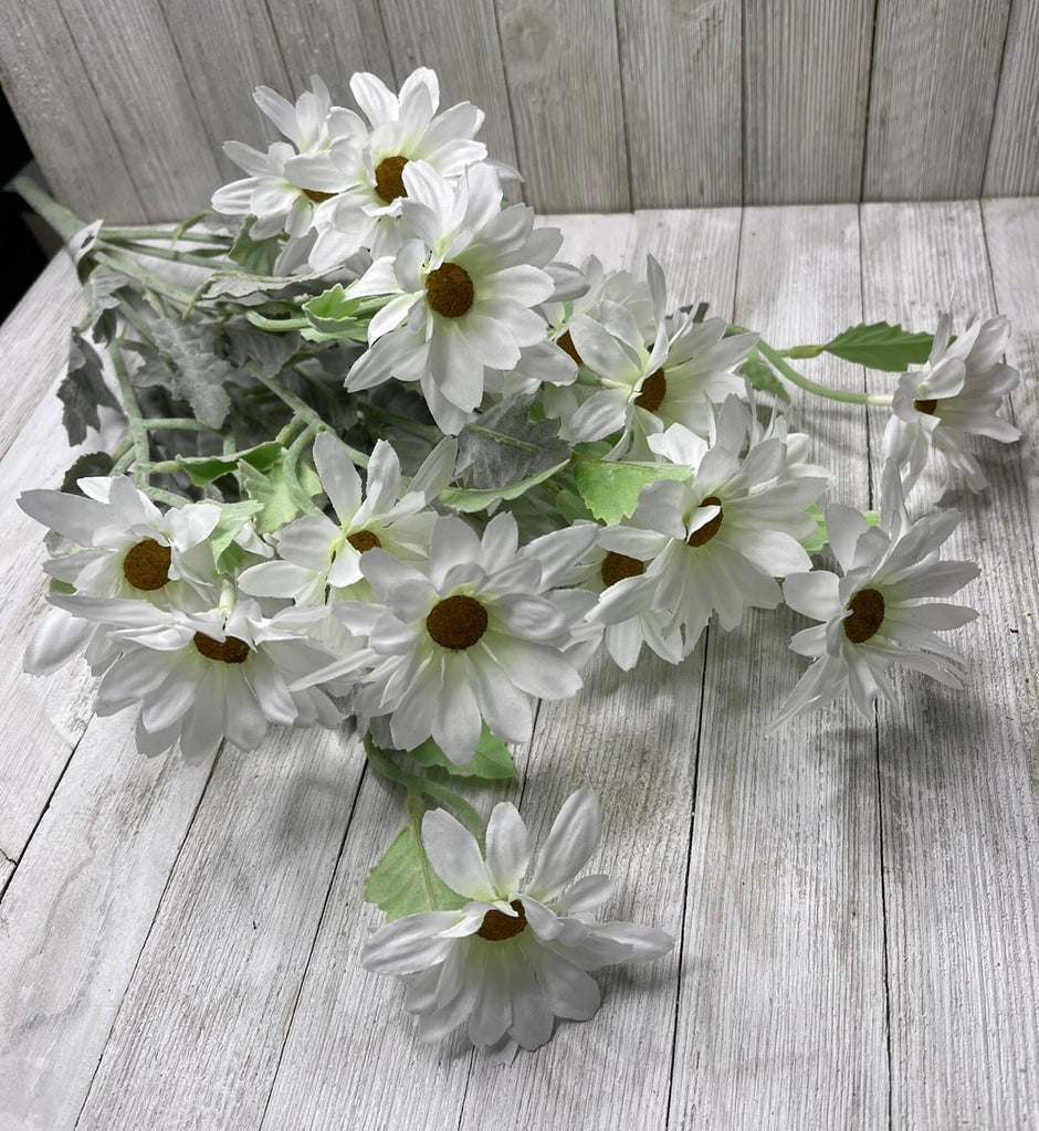 White daisies, Daisy flower bush Greenery Market