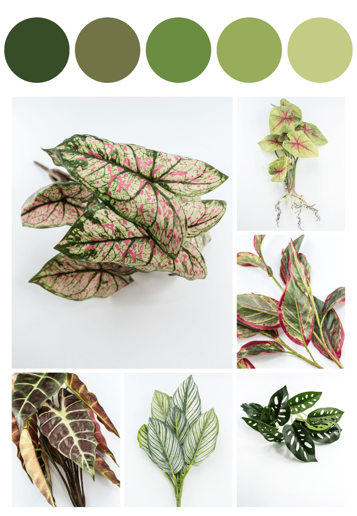 Tropical Greens - Greenery Market