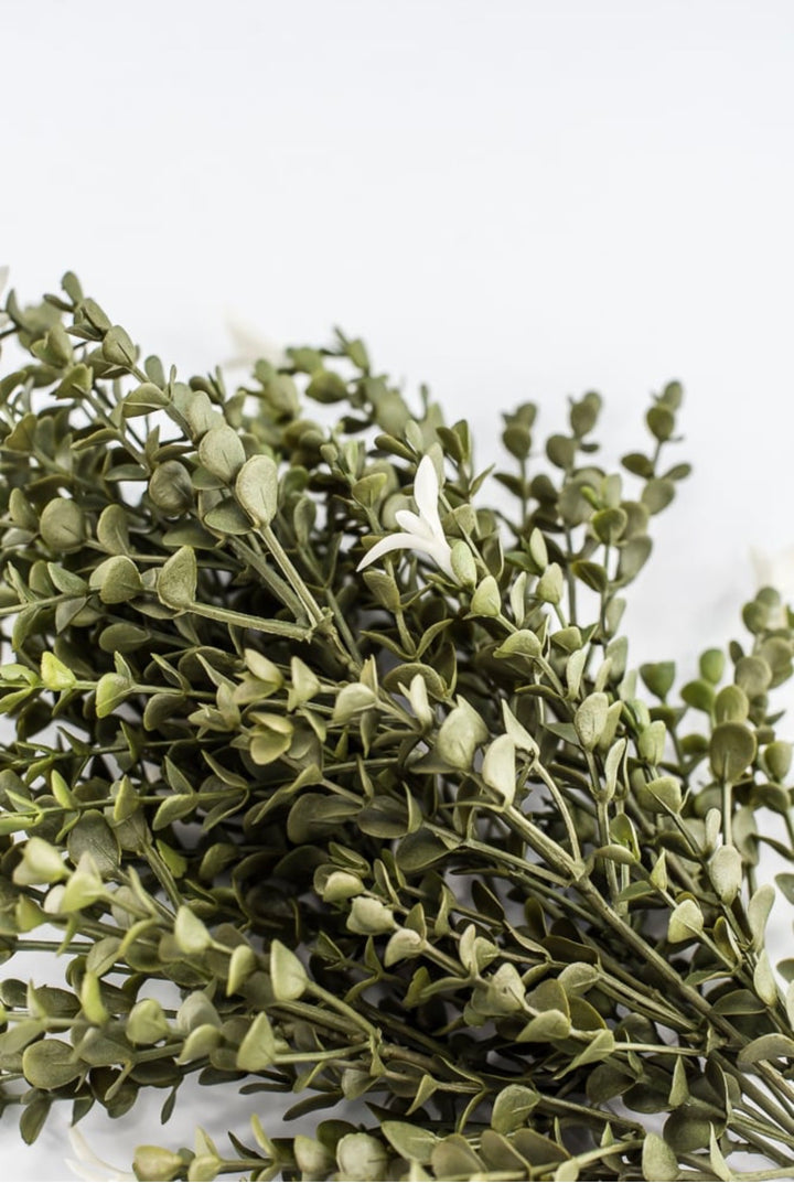 Cream Mini Eucalyptus Plastic