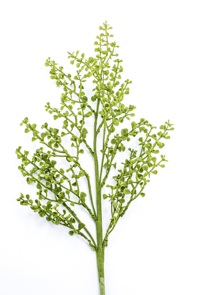 Mossy Button Grass Spray