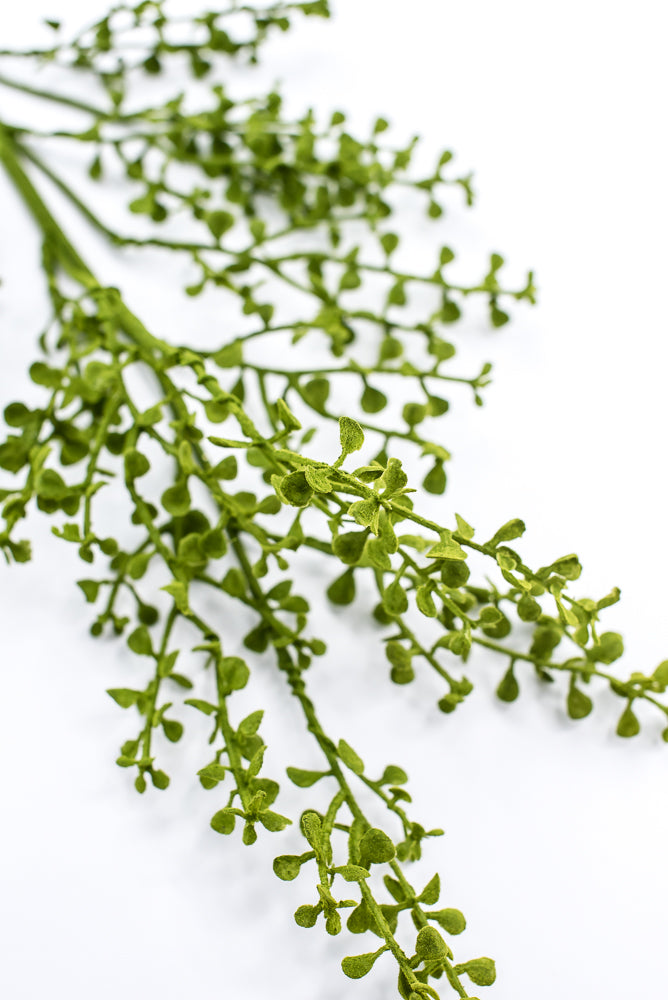 Mossy Button Grass Spray