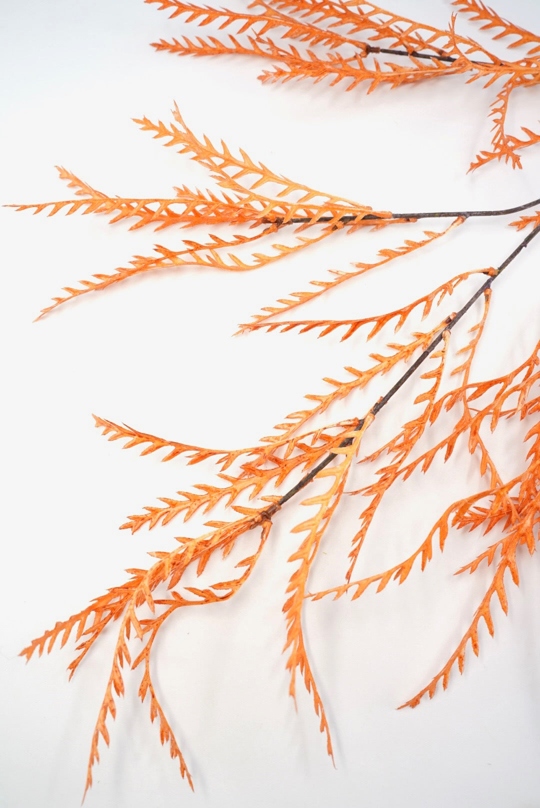 Fall, Artificial, Teridium spray