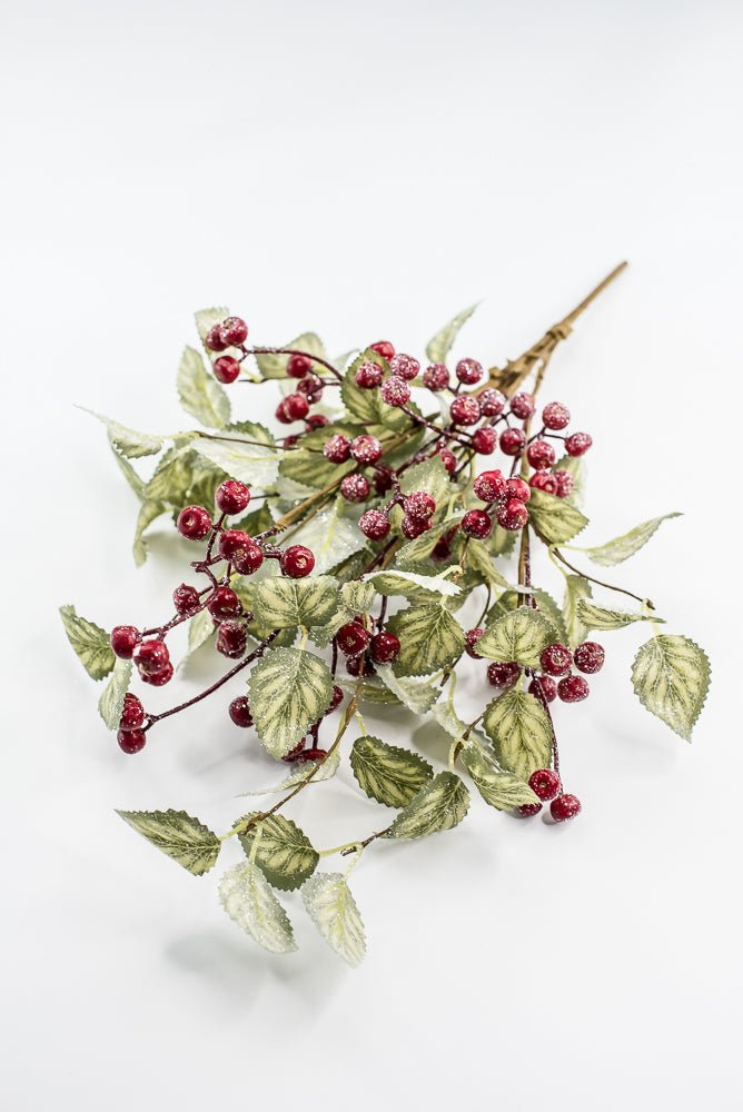 20" Frosted Viburnum Berry Bush - Greenery Market40376