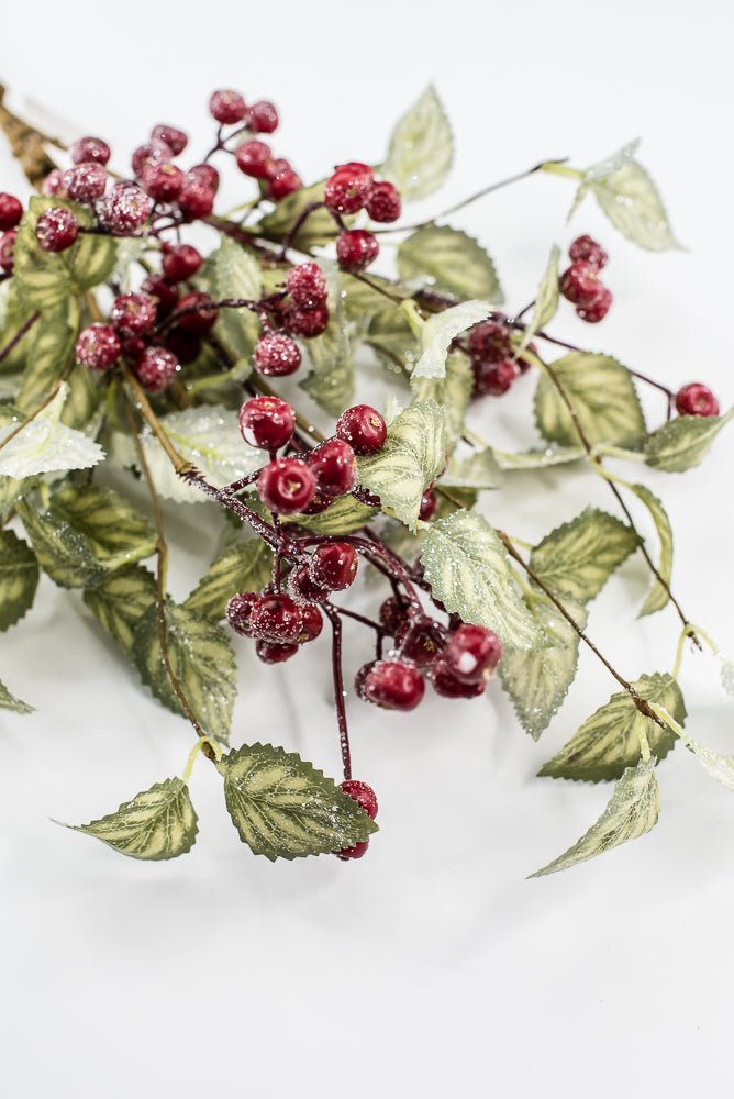 20" Frosted Viburnum Berry Bush - Greenery Market40376