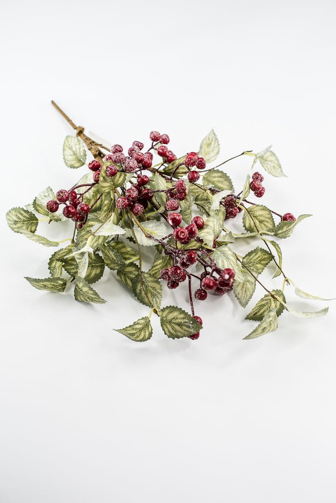 20" Frosted Viburnum Berry Bush - Greenery Market40376