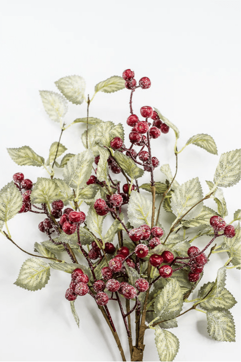 20" Frosted Viburnum Berry Bush - Greenery Market40376