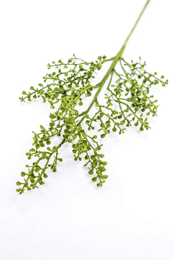 Mossy Button Grass Spray