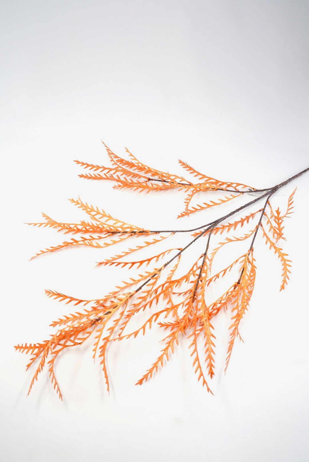 Fall, Artificial, Teridium spray