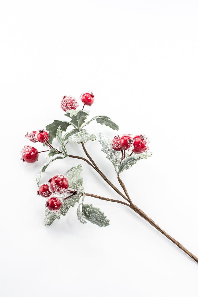 Iced Berry And Leaves Pick