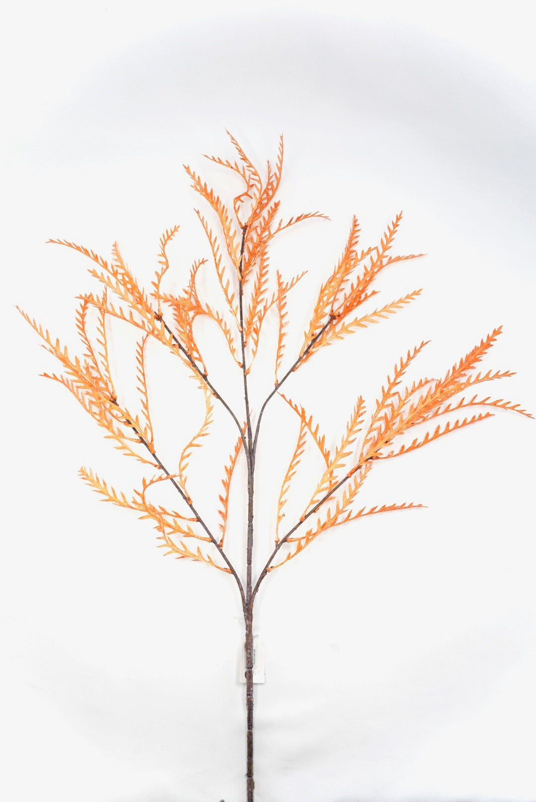 Fall, Artificial, Teridium spray