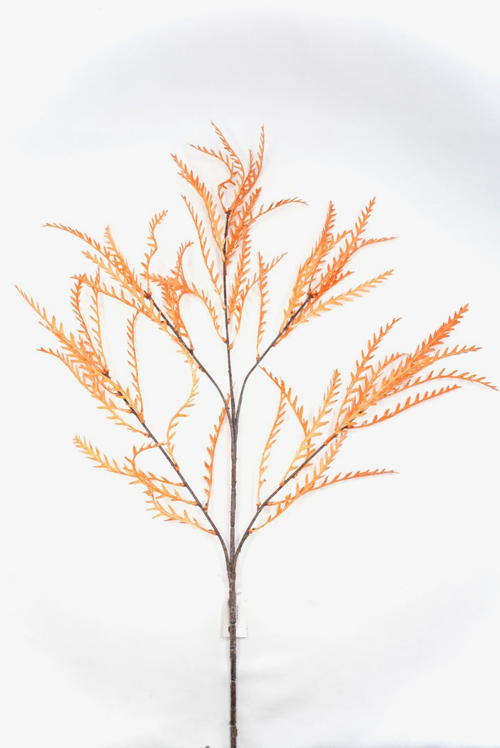 Fall, Artificial, Teridium spray