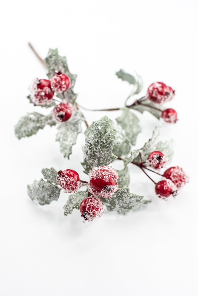 Iced Berry And Leaves Pick