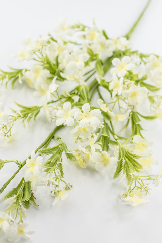 Cream Waxflower Spray - 30"