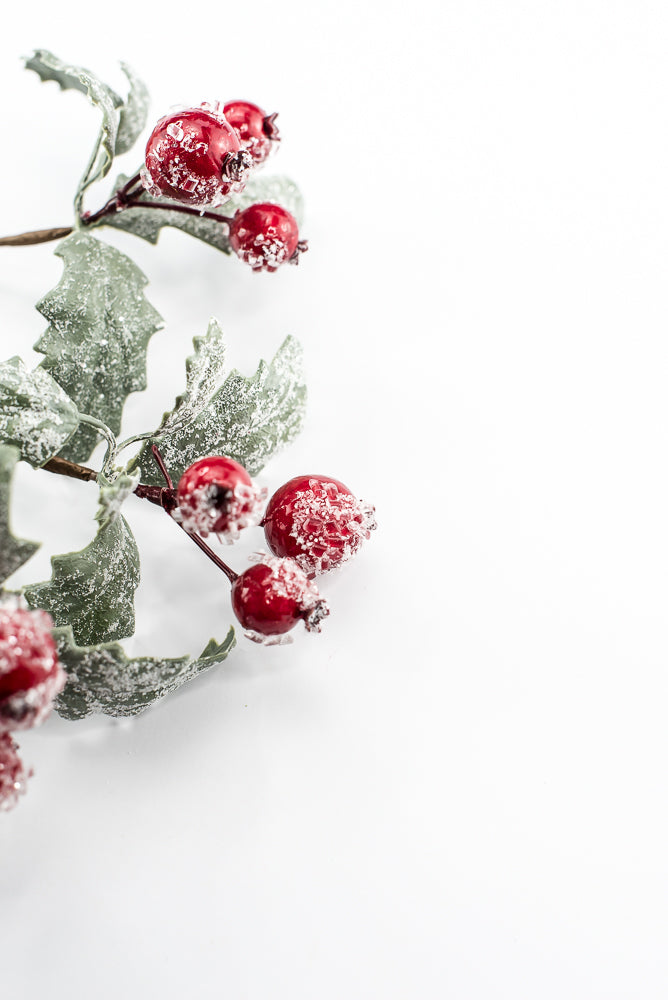 Iced Berry And Leaves Pick