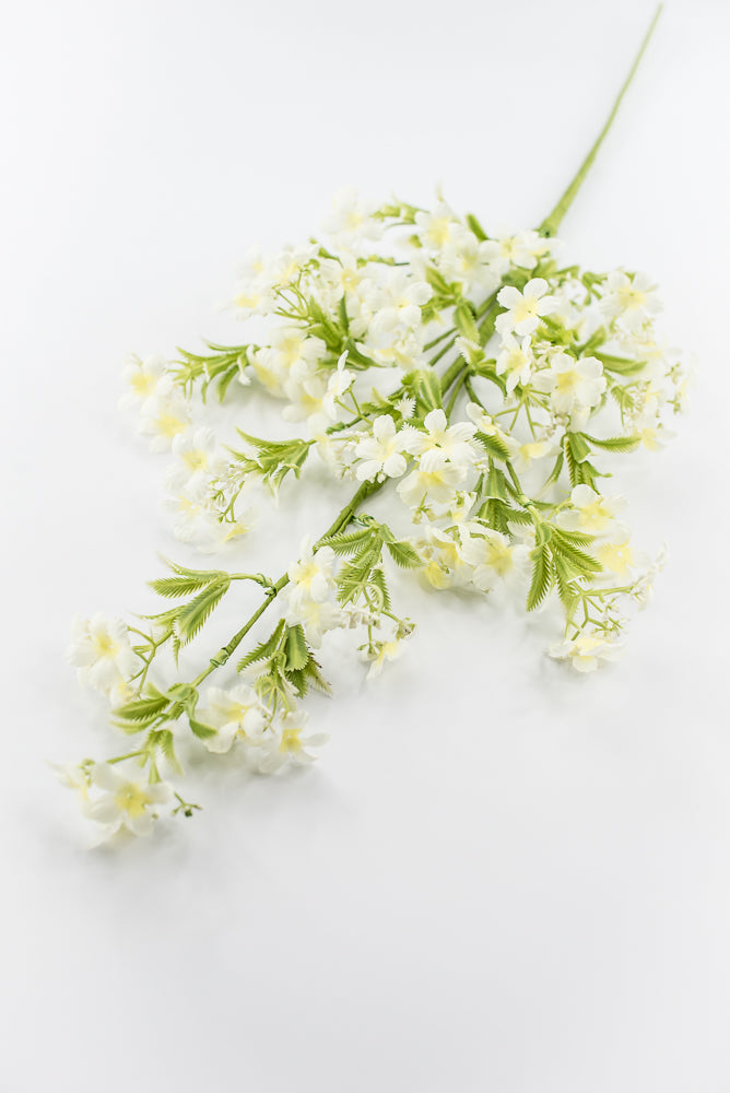 Cream Waxflower Spray - 30"