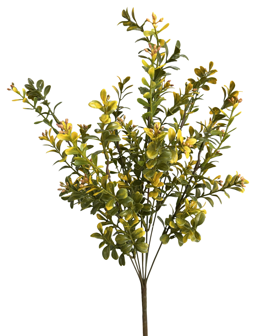 Artificial Yellow Plastic Boxwood Bush - 18"