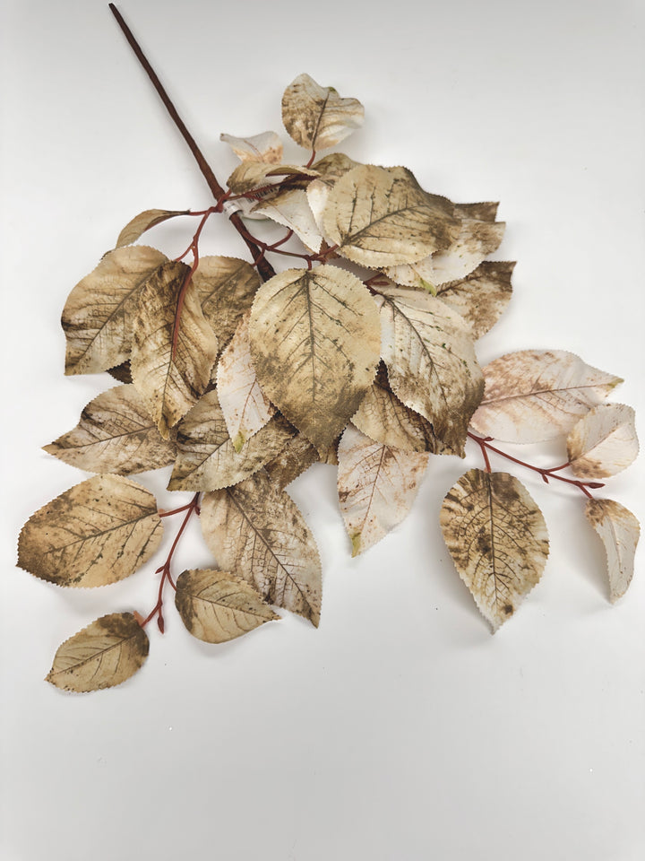 Brown mix salal leaves spray