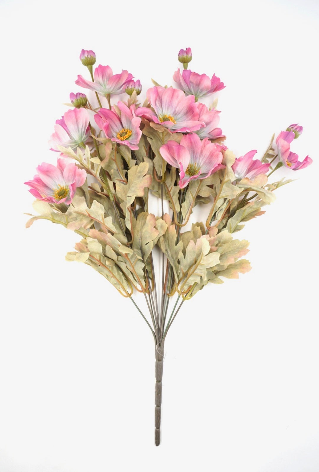 Pink Cosmos Bush