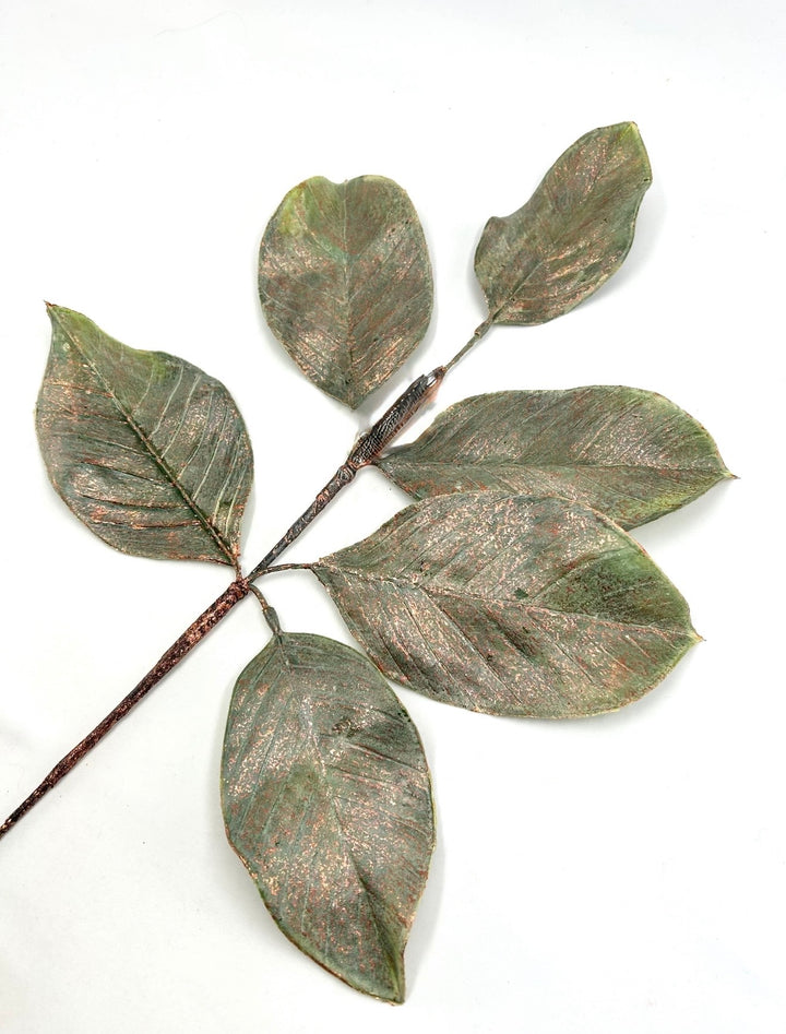 Green & Gold Magnolia Leaf Spray - 20"