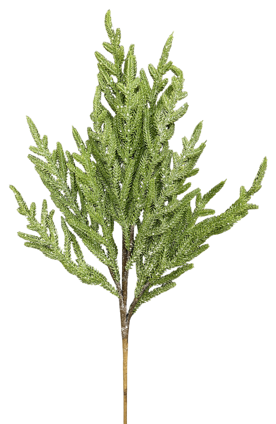 Artificial Ice Norfolk Pine Spray - 26"