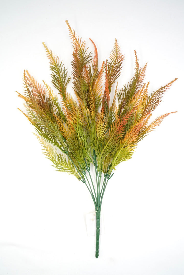 Feather fern,  orange tipped greenery bush x 2 bushes