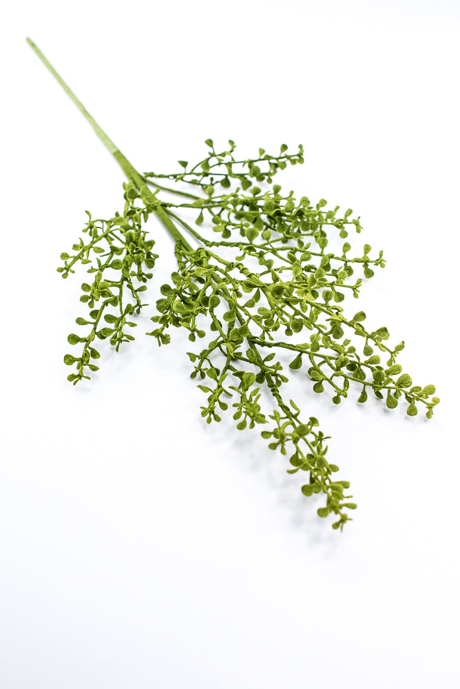 Mossy Button Grass Spray