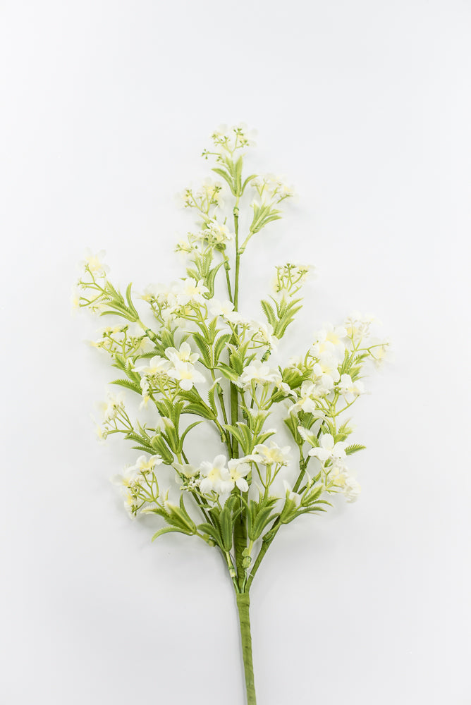 Cream Waxflower Spray - 30"
