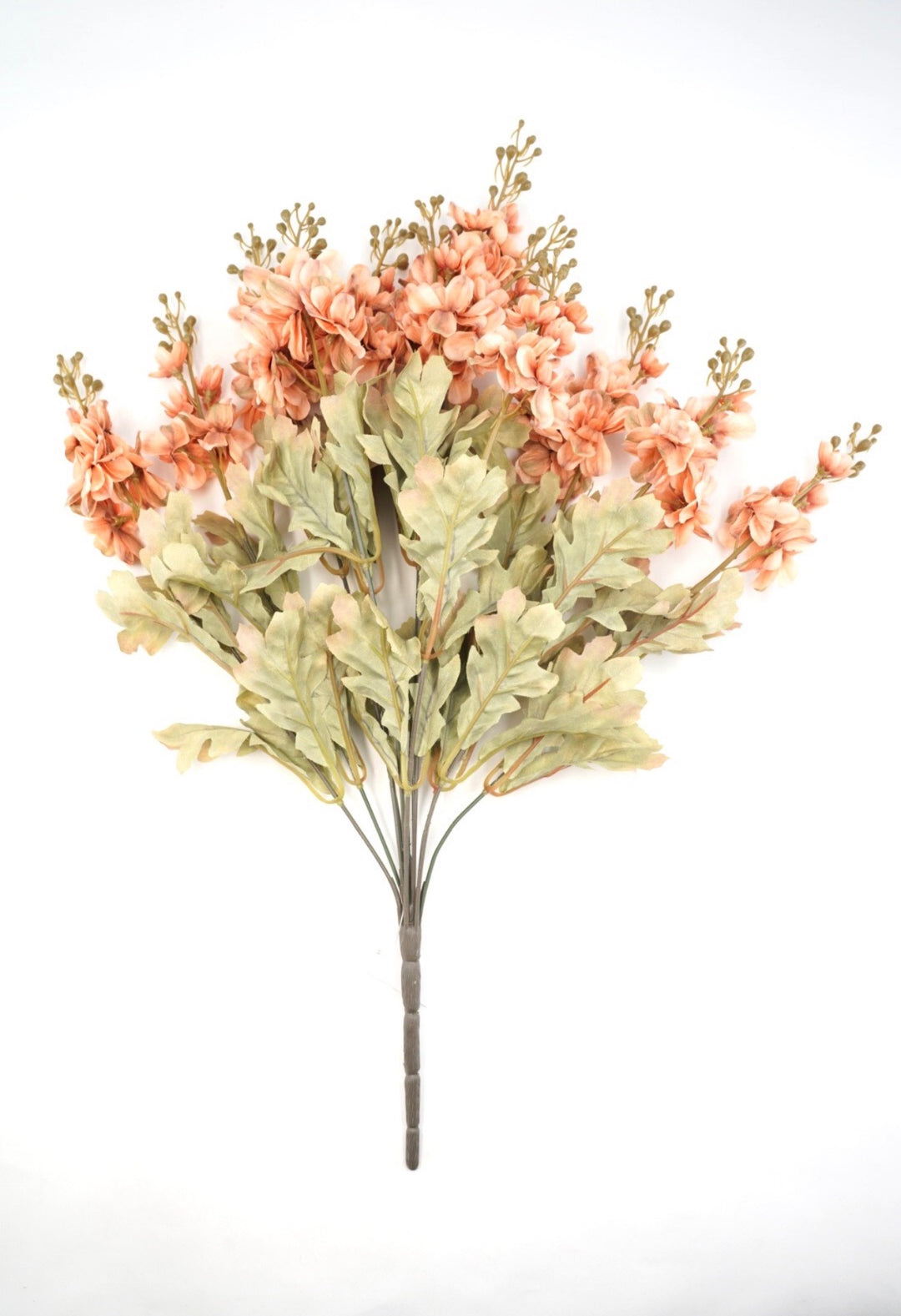 Khaki Delphinium Bush