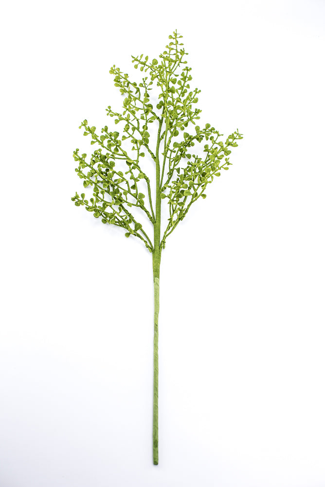 Mossy Button Grass Spray