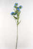 Cornflower spray, blue flowers
