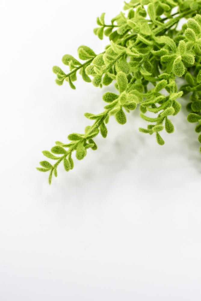 Artificial, Mossed, Boxwood Bush